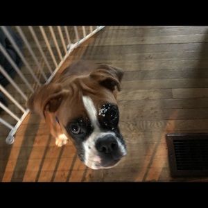 Meet your Posher, Natalie